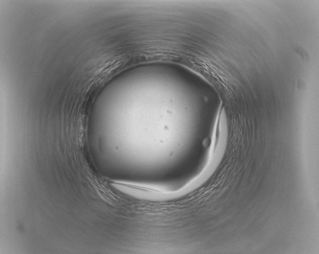 X0000116390868200912231107