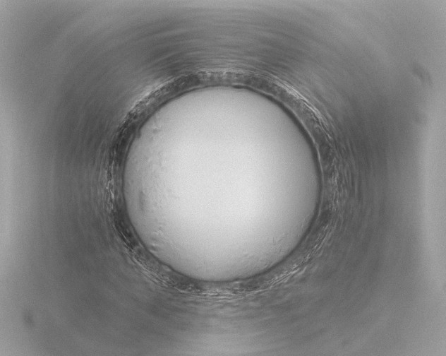 X0000116390870200912231107