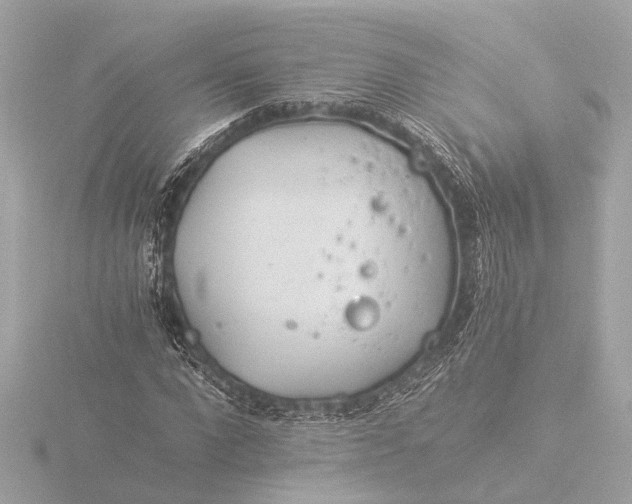 X0000116390872200912231107