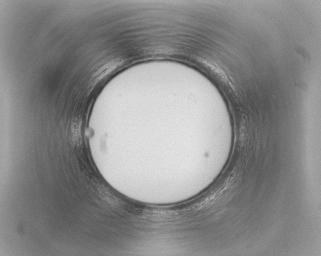 X0000116390873200912231107