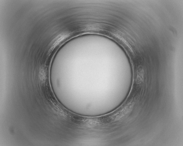 X0000116390874200912231107