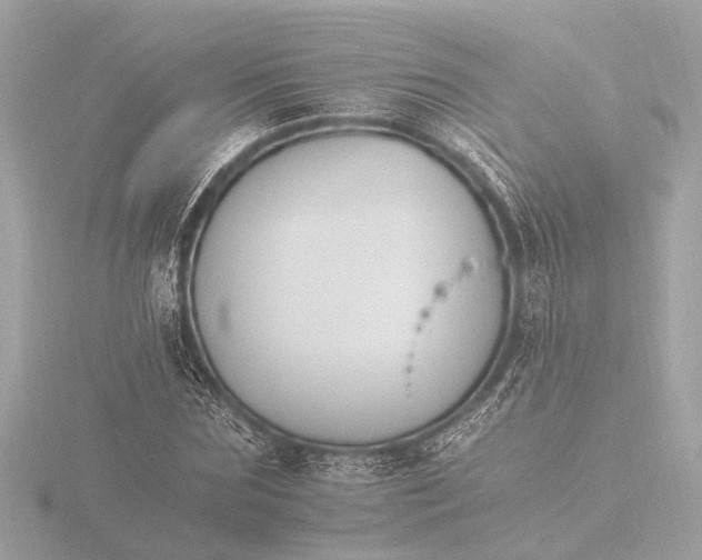 X0000116390875200912231107