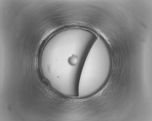 X0000116390877200912231107