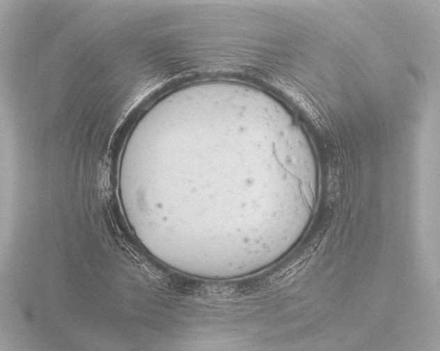 X0000116390878200912231107