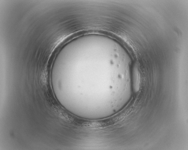 X0000116390879200912231107