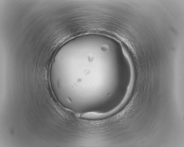 X0000116390881200912231107