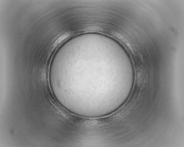 X0000116390882200912231107