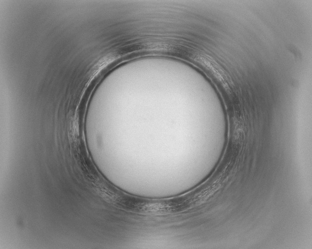 X0000116390883200912231107