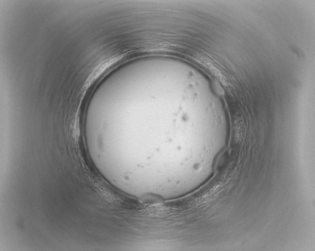 X0000116390885200912231107