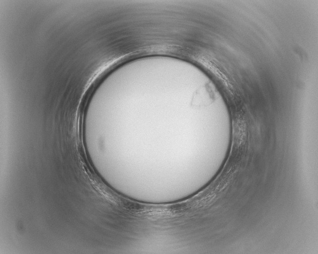 X0000116390886200912231107