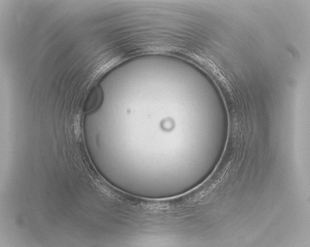 X0000116390889200912231107