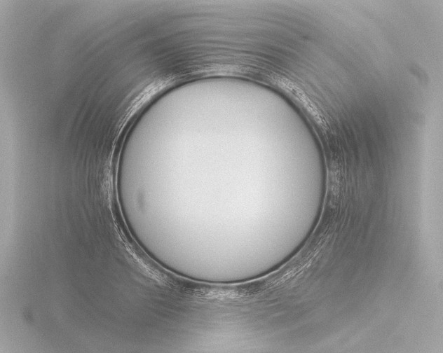 X0000116390890200912231107