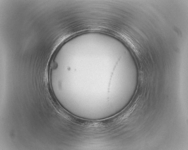 X0000116390891200912231107