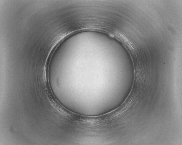 X0000116390892200912231107