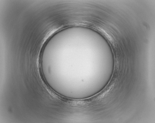 X0000116390893200912231107