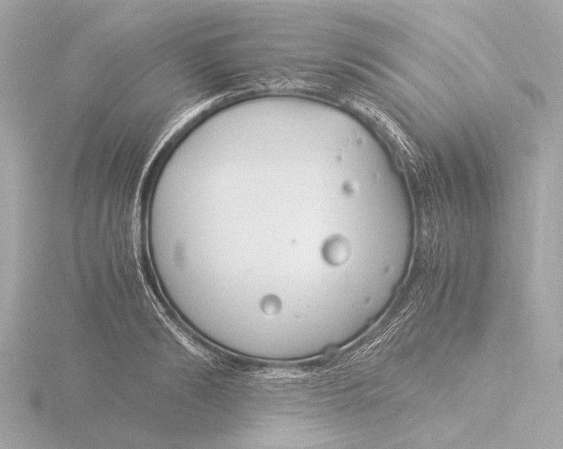 X0000116390894200912231107