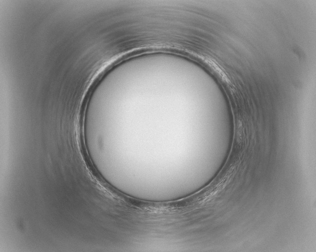 X0000116390895200912231107