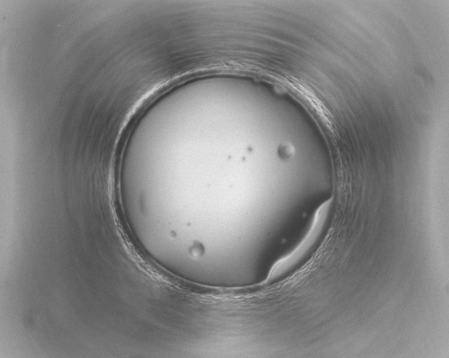 X0000116390896200912231107