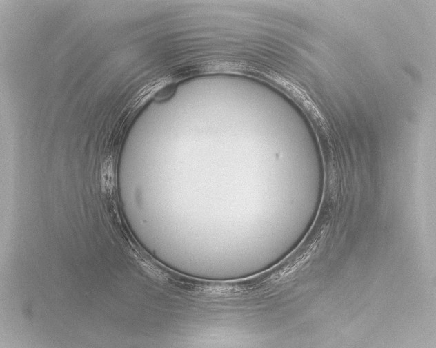 X0000116390897200912231107