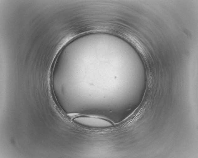 X0000116390899200912231107