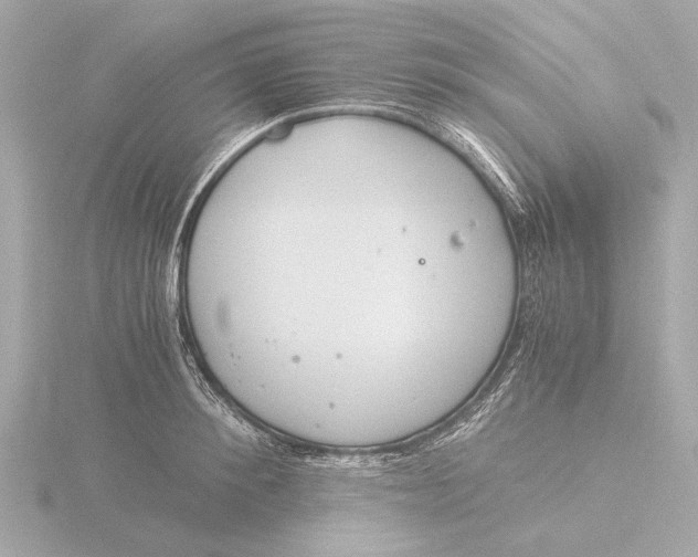 X0000116390900200912231107