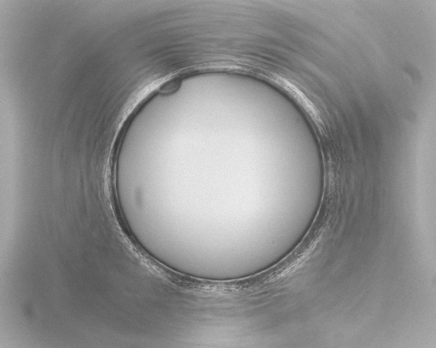 X0000116390901200912231107