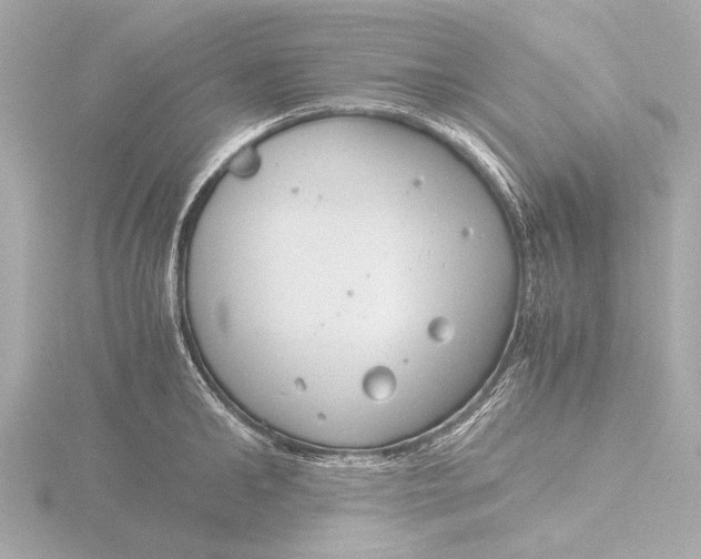 X0000116390902200912231107