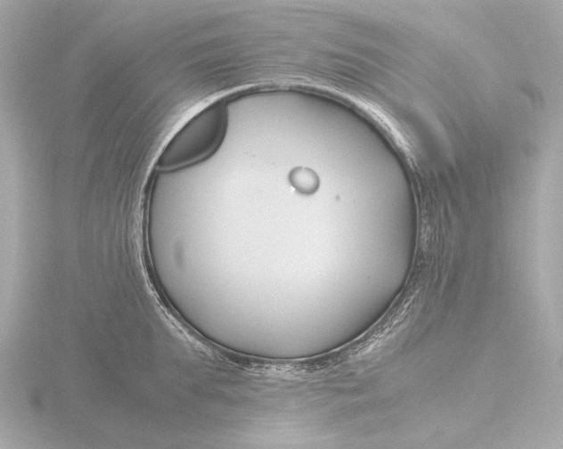 X0000116390903200912231107