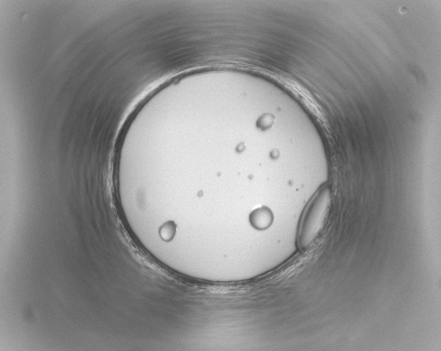 X0000116390904200912231107