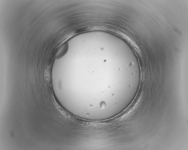 X0000116390905200912231107