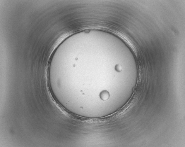 X0000116390906200912231107