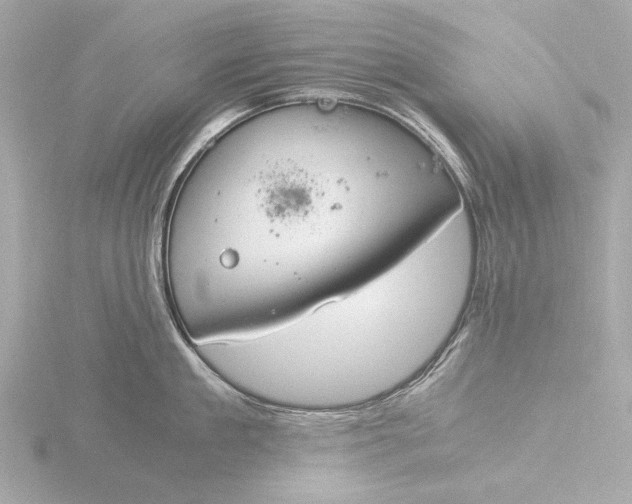 X0000116390909200912231107