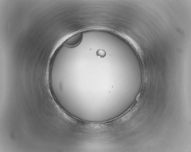 X0000116390910200912231107