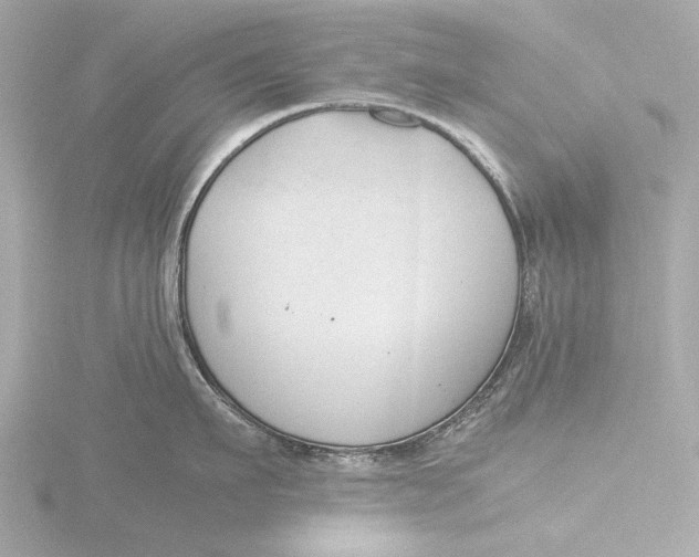 X0000116390911200912231107