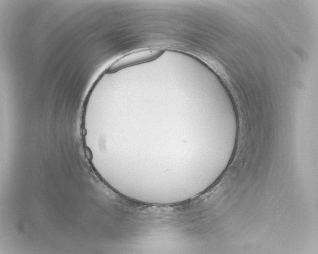 X0000116390912200912231107