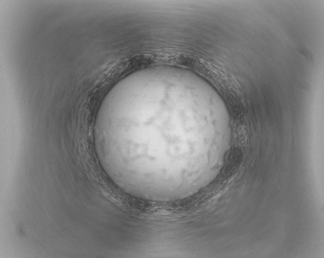 X0000116390913200912231106