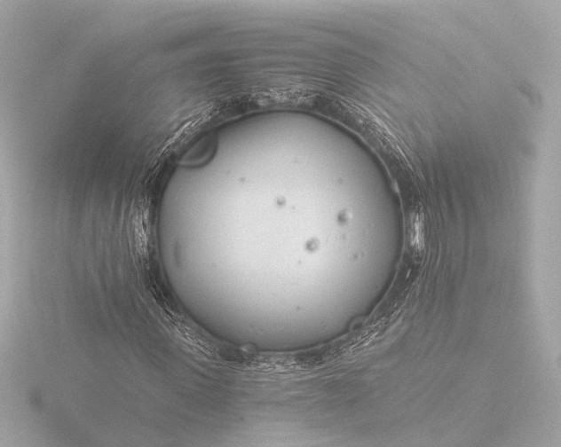 X0000116390915200912231106