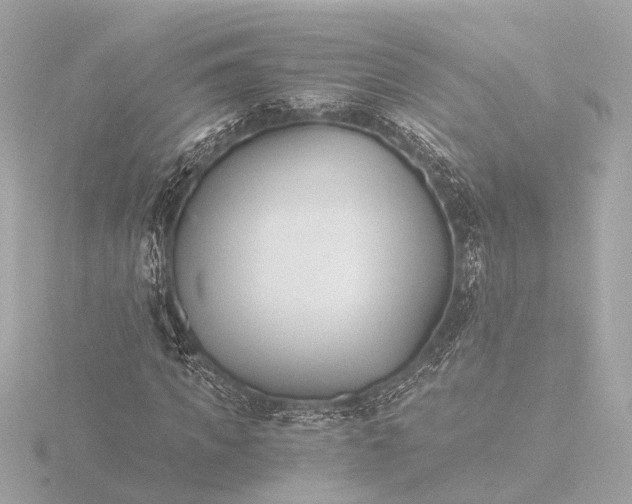 X0000116390917200912231106