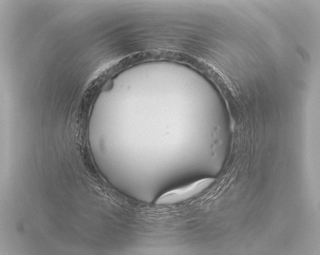 X0000116390919200912231106