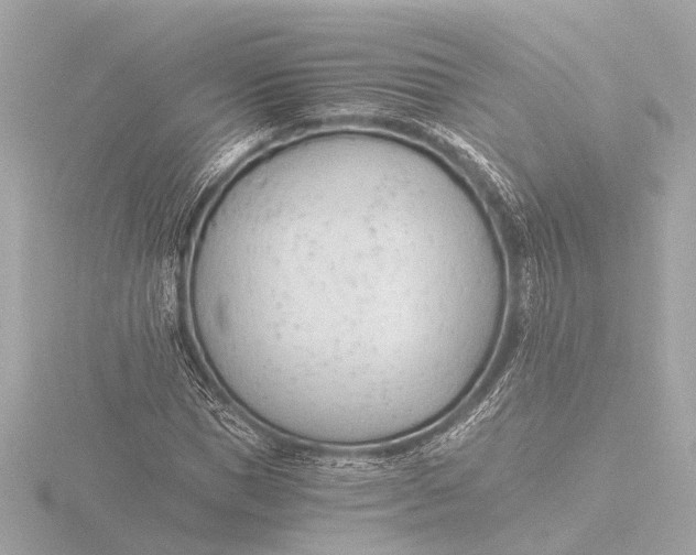 X0000116390921200912231106