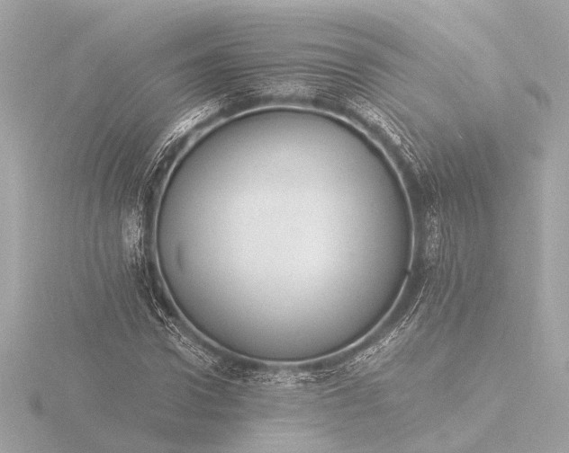 X0000116390922200912231106