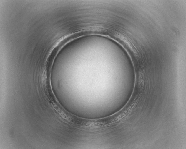 X0000116390923200912231106