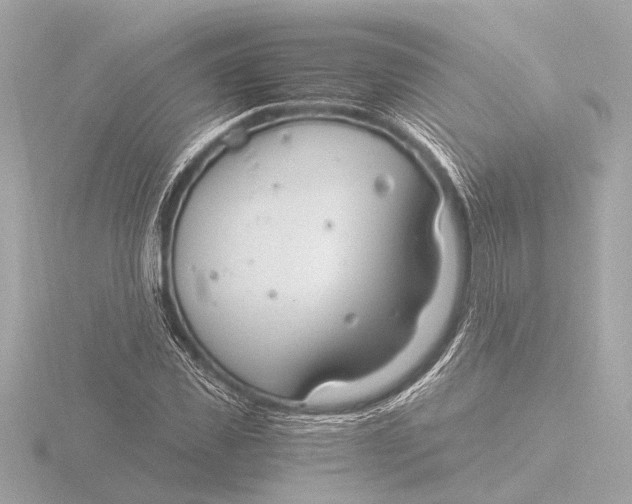 X0000116390925200912231106