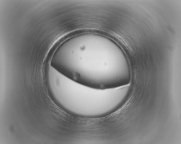 X0000116390926200912231106