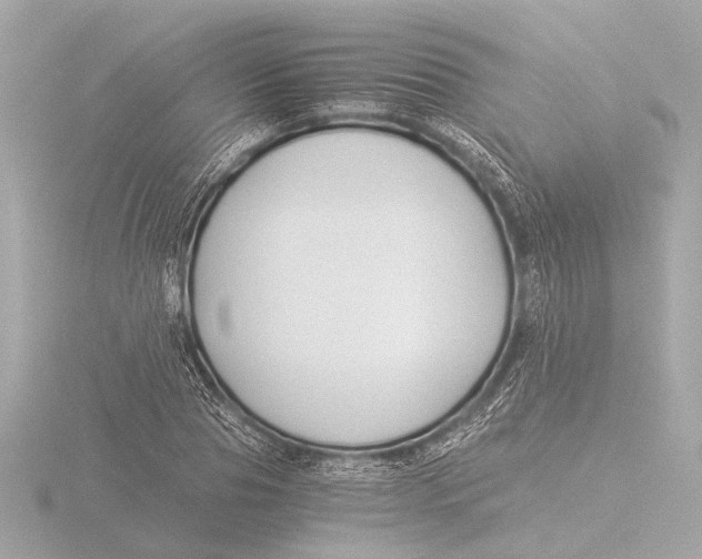 X0000116390929200912231106