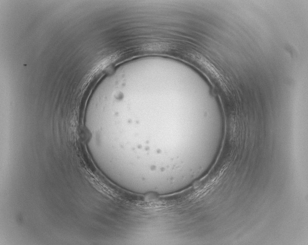 X0000116390930200912231106