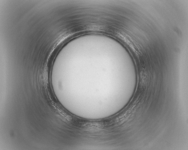 X0000116390931200912231106