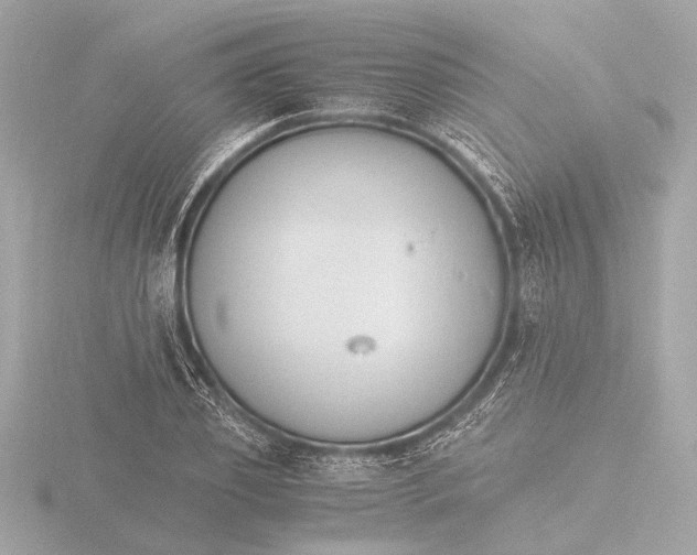 X0000116390933200912231106