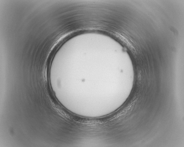 X0000116390934200912231106