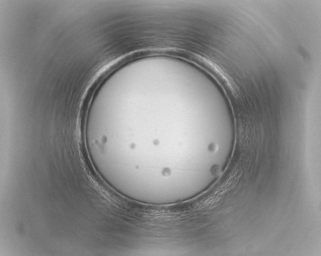 X0000116390935200912231106